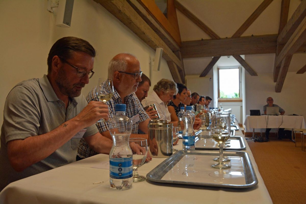 Sandra Sollberger, bz: Baselland hat einen neuen Staatswein. Ich hatte die Ehre als Jurorin mitzuwirken