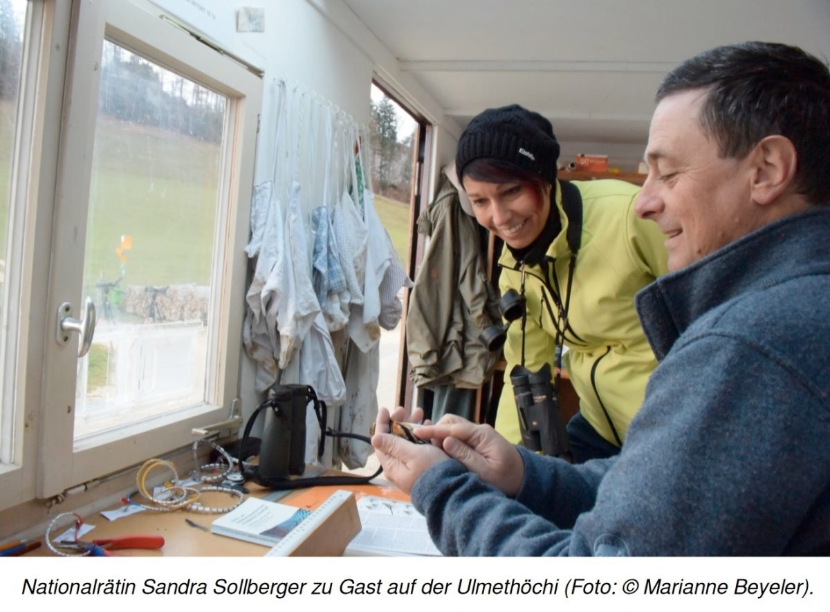 Sandra Sollberger, Beringungsstation Ulmethöchi Natur- und Vogelschutzverband BL beobachtet Zugvögel (G 6 Kestenholz)