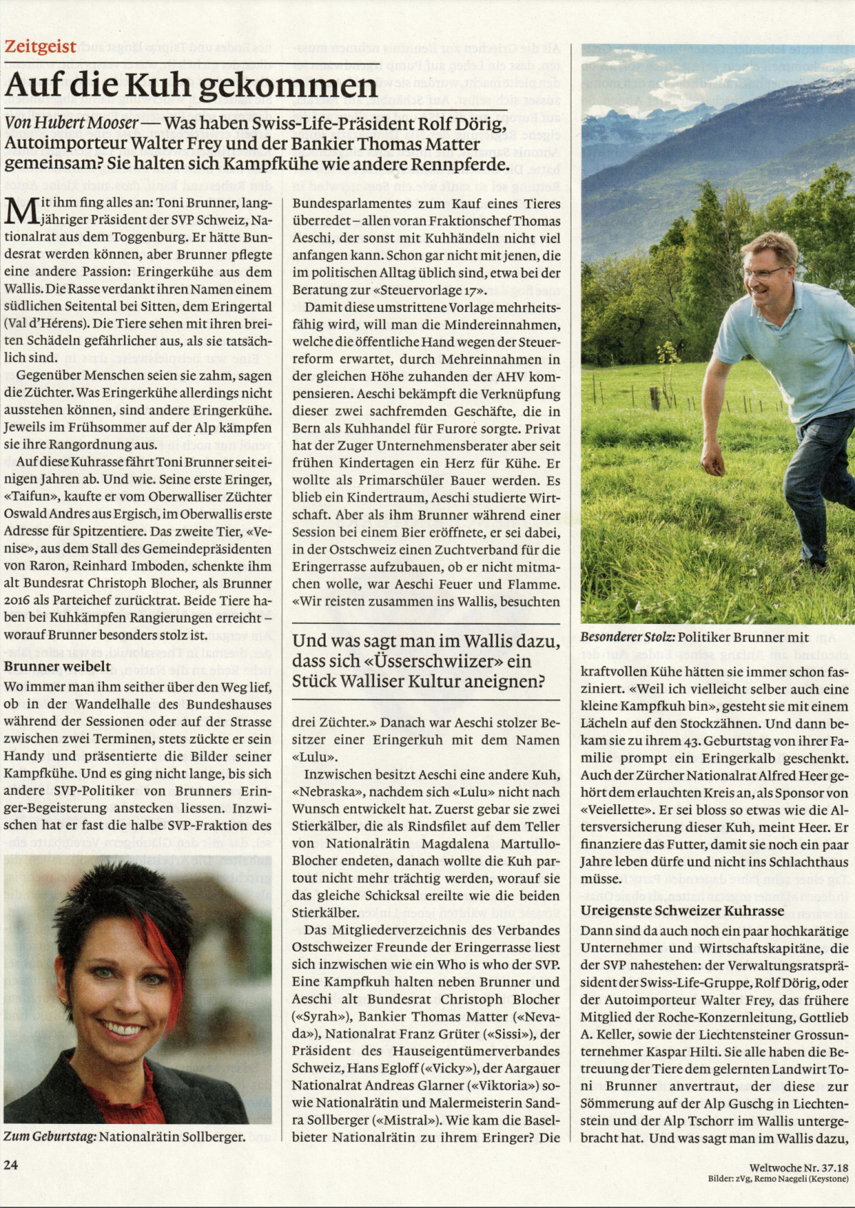 Sandra Sollberger, Weltwoche: Zeitgeist – auf die Kuh gekommen