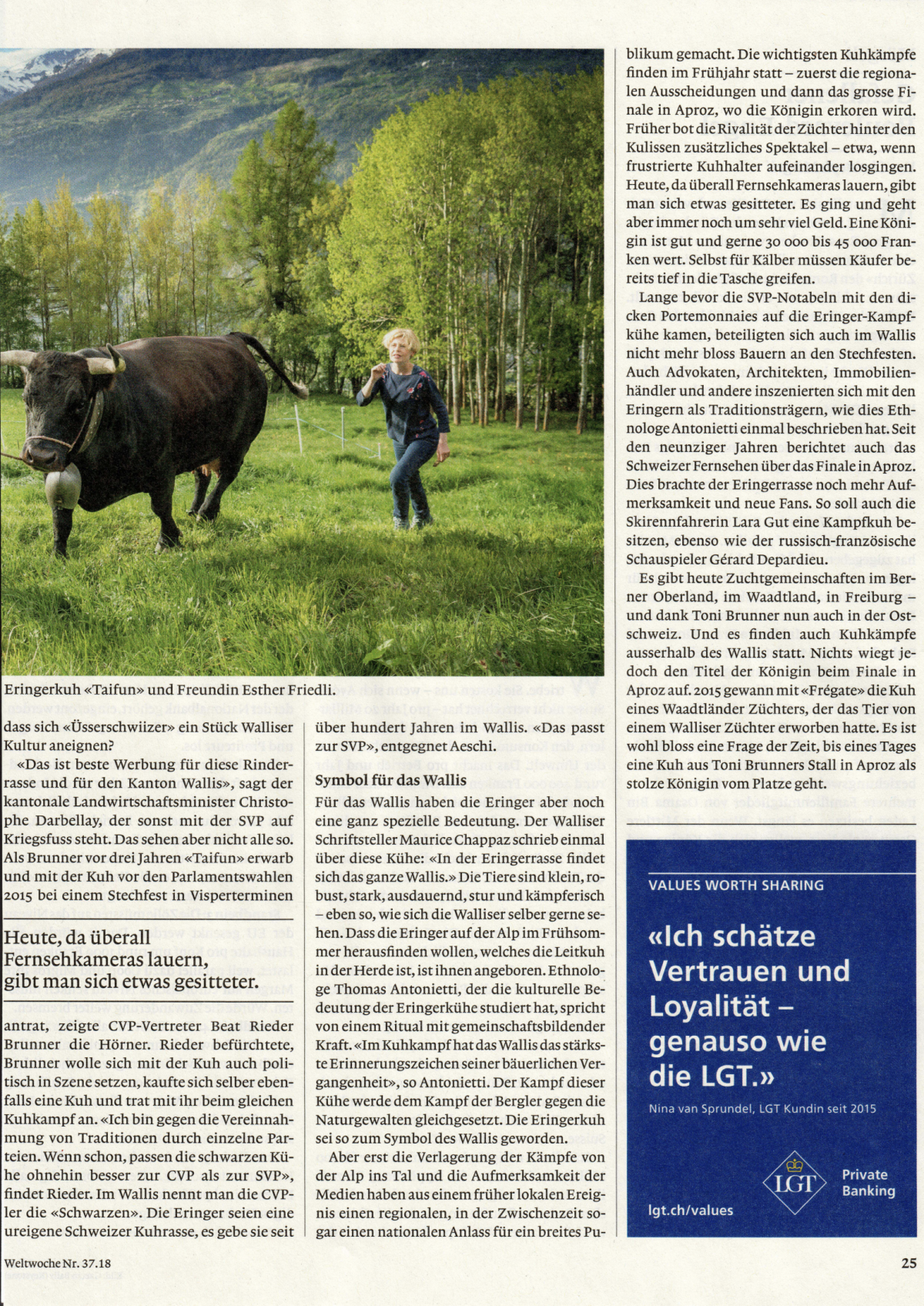 Sandra Sollberger, Weltwoche: Zeitgeist – auf die Kuh gekommen