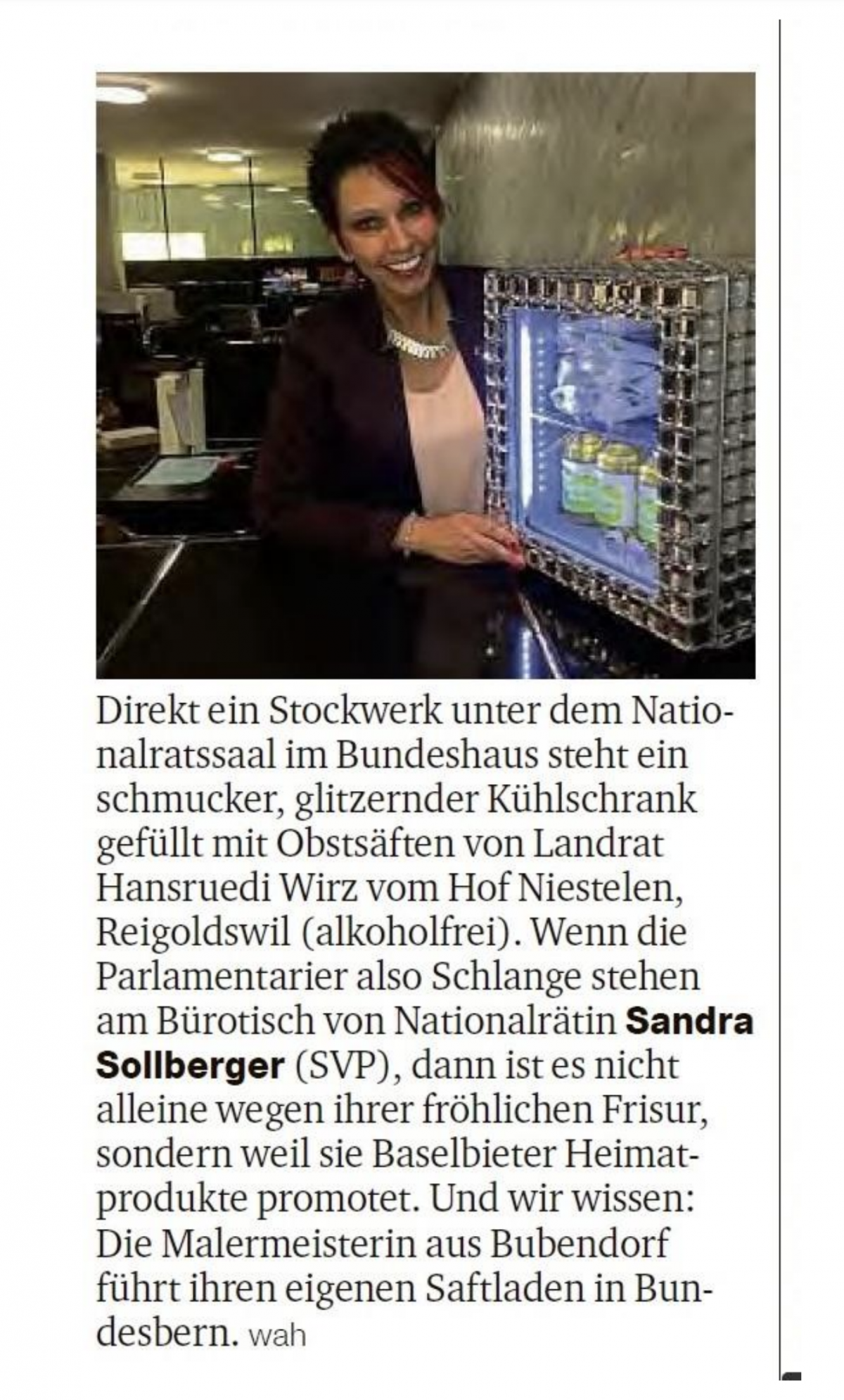 Sandra Sollberger, Baz Gschwätz aus dem Bundeshaus von Daniel Wahl