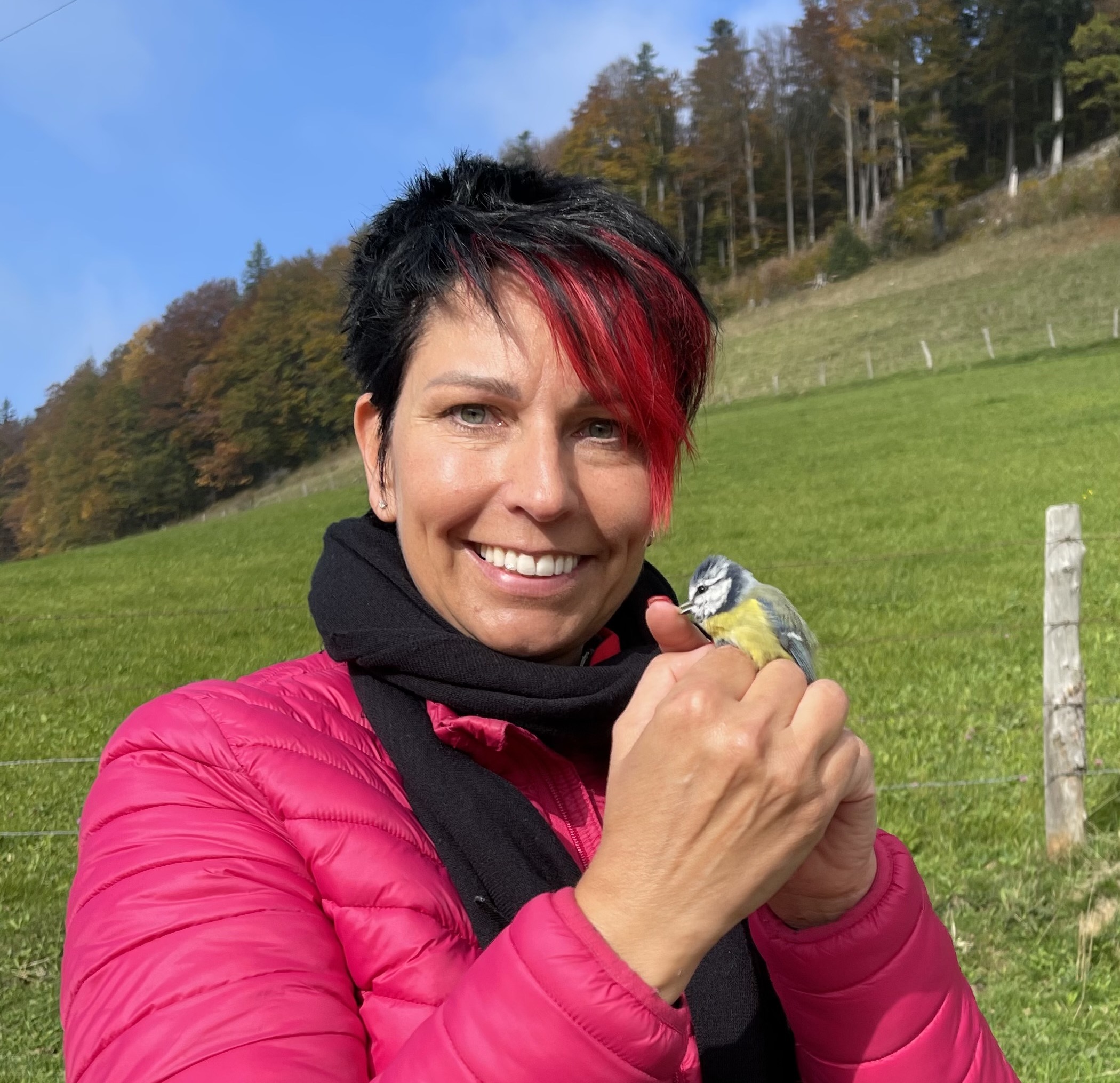 Sandra Sollberger, Ulmet Höchi Vogelzug