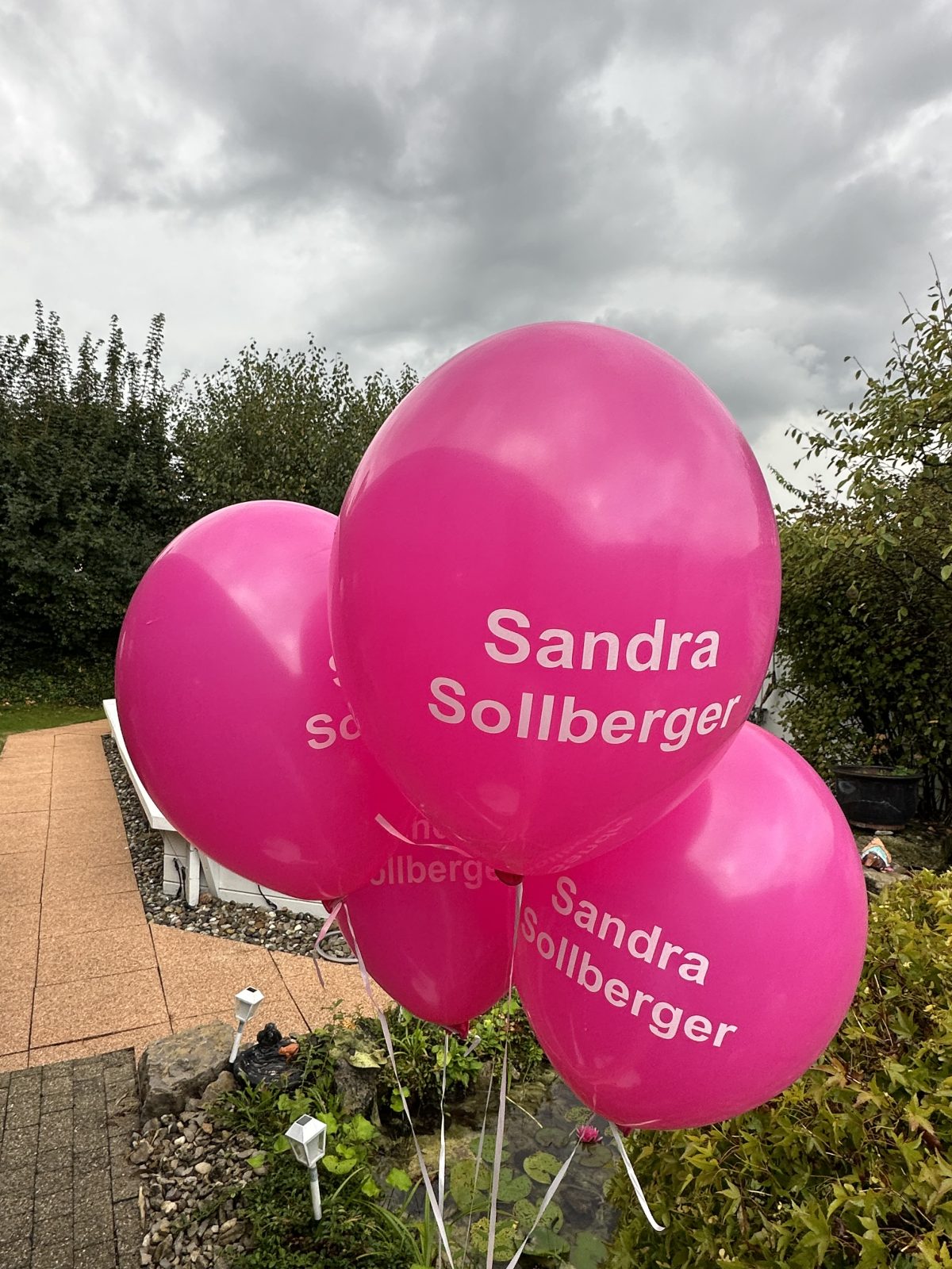 Sandra Sollberger, Plakatieren – Blachen, Plakate und Ballone