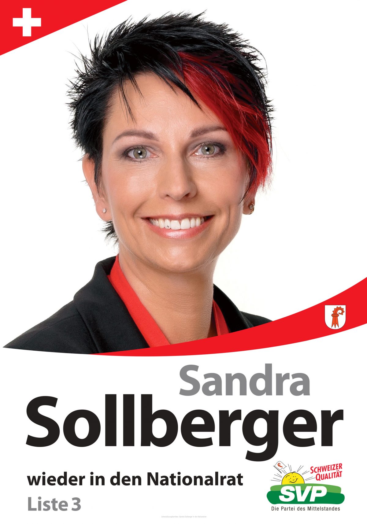 Sandra Sollberger, Wahlkampf!! – noch sechs Wochen