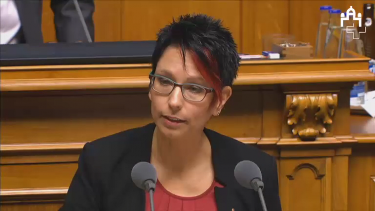 Sandra Sollberger, Mein Votum zum Stabilisierungsprogramm 2017-2019